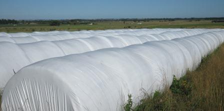 Silage Tubes 1 In Use