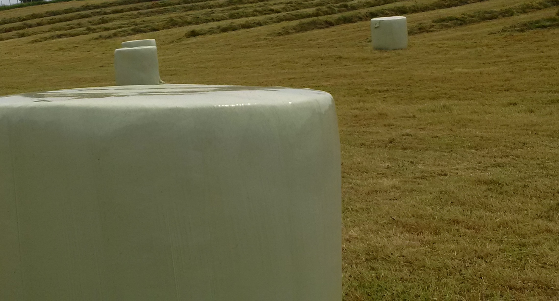 Magnum 1 Forest Green Bale Wrap