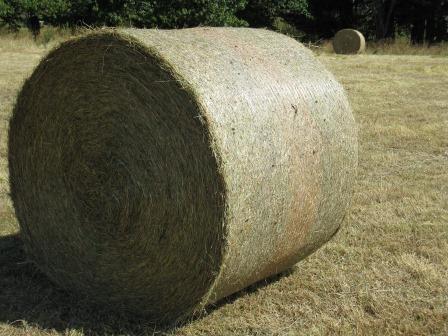 La Mouette Xtreme Bale Net 1 Hay