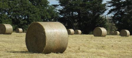 La Mouette Xtreme Bale Net 6 Hay Bales