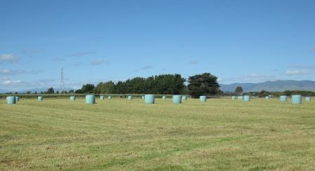 Sunfilm Bale Wrap 1 Wrapped Bales