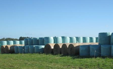 Sunfilm Bale Wrap 2 Bales In Storage