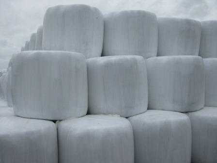 Sunfilm Bale Wrap 3 White Wrap Applied To Silage Bales