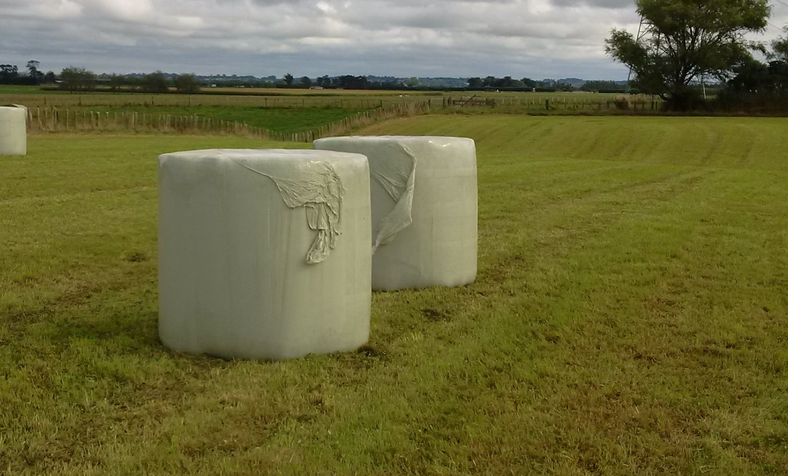 SilaCORD Bale Wrap On Bales