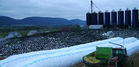 Silage Covers And Silage Bags USA